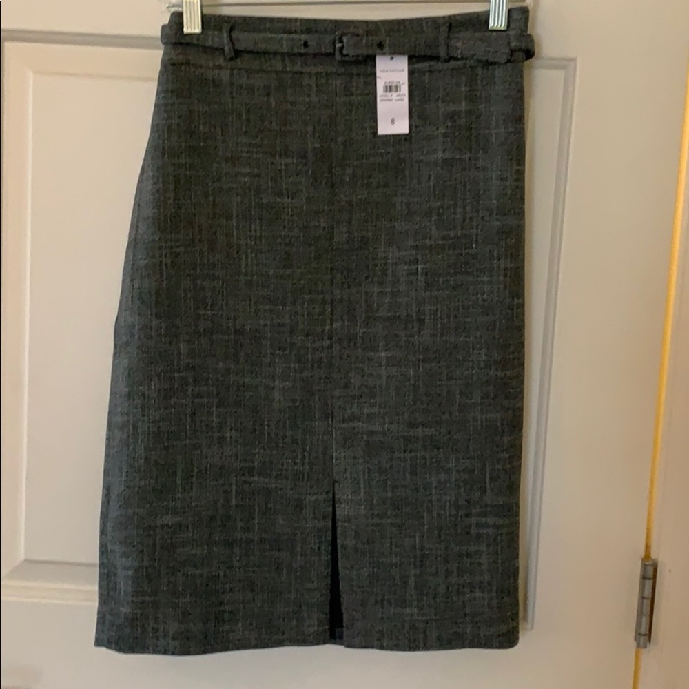 NWT Ann Taylor sz 8 skirt